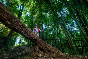 BIB: 
                            <button type="button" onclick="openModal(18991620)" class="btn btn-primary btn-sm float-right btn-popup" data-toggle="modal" data-target=".modal-high-quality">
                        <i class="fas fa-shopping-cart"></i> Add to Cart
                    </button>
                                            <button type="button" onclick="isThisMe(18991620, true)" class="btn btn-success btn-sm float-right btn-popup btn-isme hidden" data-toggle="tooltip" data-placement="bottom" title="นี่คือรูปของคุณใช่ไหม คลิกที่นี่เพื่อเอาเข้าอัลบั้ม">
                        <i class="fas fa-plus"></i> Add to album
                    </button>
                    <button type="button" onclick="isThisMe(18991620, false)" class="btn btn-warning btn-sm float-right btn-popup btn-isnotme hidden">
                        <i class="fas fa-ban"></i> Remove from album
                    </button>