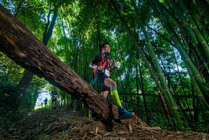 BIB: 
                            <button type="button" onclick="openModal(18998375)" class="btn btn-primary btn-sm float-right btn-popup" data-toggle="modal" data-target=".modal-high-quality">
                        <i class="fas fa-shopping-cart"></i> Add to Cart
                    </button>
                                            <button type="button" onclick="isThisMe(18998375, true)" class="btn btn-success btn-sm float-right btn-popup btn-isme hidden" data-toggle="tooltip" data-placement="bottom" title="นี่คือรูปของคุณใช่ไหม คลิกที่นี่เพื่อเอาเข้าอัลบั้ม">
                        <i class="fas fa-plus"></i> Add to album
                    </button>
                    <button type="button" onclick="isThisMe(18998375, false)" class="btn btn-warning btn-sm float-right btn-popup btn-isnotme hidden">
                        <i class="fas fa-ban"></i> Remove from album
                    </button>