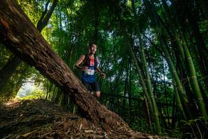 BIB: 411
                            <button type="button" onclick="openModal(18986410)" class="btn btn-primary btn-sm float-right btn-popup" data-toggle="modal" data-target=".modal-high-quality">
                        <i class="fas fa-shopping-cart"></i> Add to Cart
                    </button>
                                            <button type="button" onclick="isThisMe(18986410, true)" class="btn btn-success btn-sm float-right btn-popup btn-isme hidden" data-toggle="tooltip" data-placement="bottom" title="นี่คือรูปของคุณใช่ไหม คลิกที่นี่เพื่อเอาเข้าอัลบั้ม">
                        <i class="fas fa-plus"></i> Add to album
                    </button>
                    <button type="button" onclick="isThisMe(18986410, false)" class="btn btn-warning btn-sm float-right btn-popup btn-isnotme hidden">
                        <i class="fas fa-ban"></i> Remove from album
                    </button>