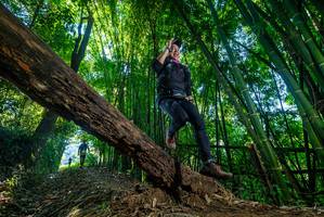 BIB: 
                            <button type="button" onclick="openModal(18997407)" class="btn btn-primary btn-sm float-right btn-popup" data-toggle="modal" data-target=".modal-high-quality">
                        <i class="fas fa-shopping-cart"></i> Add to Cart
                    </button>
                                            <button type="button" onclick="isThisMe(18997407, true)" class="btn btn-success btn-sm float-right btn-popup btn-isme hidden" data-toggle="tooltip" data-placement="bottom" title="นี่คือรูปของคุณใช่ไหม คลิกที่นี่เพื่อเอาเข้าอัลบั้ม">
                        <i class="fas fa-plus"></i> Add to album
                    </button>
                    <button type="button" onclick="isThisMe(18997407, false)" class="btn btn-warning btn-sm float-right btn-popup btn-isnotme hidden">
                        <i class="fas fa-ban"></i> Remove from album
                    </button>