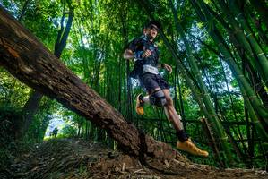 BIB: 
                            <button type="button" onclick="openModal(19000176)" class="btn btn-primary btn-sm float-right btn-popup" data-toggle="modal" data-target=".modal-high-quality">
                        <i class="fas fa-shopping-cart"></i> Add to Cart
                    </button>
                                            <button type="button" onclick="isThisMe(19000176, true)" class="btn btn-success btn-sm float-right btn-popup btn-isme hidden" data-toggle="tooltip" data-placement="bottom" title="นี่คือรูปของคุณใช่ไหม คลิกที่นี่เพื่อเอาเข้าอัลบั้ม">
                        <i class="fas fa-plus"></i> Add to album
                    </button>
                    <button type="button" onclick="isThisMe(19000176, false)" class="btn btn-warning btn-sm float-right btn-popup btn-isnotme hidden">
                        <i class="fas fa-ban"></i> Remove from album
                    </button>