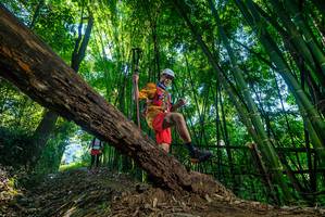 BIB: 
                            <button type="button" onclick="openModal(18998250)" class="btn btn-primary btn-sm float-right btn-popup" data-toggle="modal" data-target=".modal-high-quality">
                        <i class="fas fa-shopping-cart"></i> Add to Cart
                    </button>
                                            <button type="button" onclick="isThisMe(18998250, true)" class="btn btn-success btn-sm float-right btn-popup btn-isme hidden" data-toggle="tooltip" data-placement="bottom" title="นี่คือรูปของคุณใช่ไหม คลิกที่นี่เพื่อเอาเข้าอัลบั้ม">
                        <i class="fas fa-plus"></i> Add to album
                    </button>
                    <button type="button" onclick="isThisMe(18998250, false)" class="btn btn-warning btn-sm float-right btn-popup btn-isnotme hidden">
                        <i class="fas fa-ban"></i> Remove from album
                    </button>