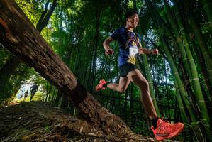 BIB: 
                            <button type="button" onclick="openModal(18986647)" class="btn btn-primary btn-sm float-right btn-popup" data-toggle="modal" data-target=".modal-high-quality">
                        <i class="fas fa-shopping-cart"></i> Add to Cart
                    </button>
                                            <button type="button" onclick="isThisMe(18986647, true)" class="btn btn-success btn-sm float-right btn-popup btn-isme hidden" data-toggle="tooltip" data-placement="bottom" title="นี่คือรูปของคุณใช่ไหม คลิกที่นี่เพื่อเอาเข้าอัลบั้ม">
                        <i class="fas fa-plus"></i> Add to album
                    </button>
                    <button type="button" onclick="isThisMe(18986647, false)" class="btn btn-warning btn-sm float-right btn-popup btn-isnotme hidden">
                        <i class="fas fa-ban"></i> Remove from album
                    </button>