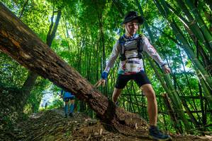 BIB: 2269
                            <button type="button" onclick="openModal(19061780)" class="btn btn-primary btn-sm float-right btn-popup" data-toggle="modal" data-target=".modal-high-quality">
                        <i class="fas fa-shopping-cart"></i> Add to Cart
                    </button>
                                            <button type="button" onclick="isThisMe(19061780, true)" class="btn btn-success btn-sm float-right btn-popup btn-isme hidden" data-toggle="tooltip" data-placement="bottom" title="นี่คือรูปของคุณใช่ไหม คลิกที่นี่เพื่อเอาเข้าอัลบั้ม">
                        <i class="fas fa-plus"></i> Add to album
                    </button>
                    <button type="button" onclick="isThisMe(19061780, false)" class="btn btn-warning btn-sm float-right btn-popup btn-isnotme hidden">
                        <i class="fas fa-ban"></i> Remove from album
                    </button>