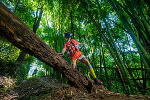 BIB: 
                            <button type="button" onclick="openModal(19001059)" class="btn btn-primary btn-sm float-right btn-popup" data-toggle="modal" data-target=".modal-high-quality">
                        <i class="fas fa-shopping-cart"></i> Add to Cart
                    </button>
                                            <button type="button" onclick="isThisMe(19001059, true)" class="btn btn-success btn-sm float-right btn-popup btn-isme hidden" data-toggle="tooltip" data-placement="bottom" title="นี่คือรูปของคุณใช่ไหม คลิกที่นี่เพื่อเอาเข้าอัลบั้ม">
                        <i class="fas fa-plus"></i> Add to album
                    </button>
                    <button type="button" onclick="isThisMe(19001059, false)" class="btn btn-warning btn-sm float-right btn-popup btn-isnotme hidden">
                        <i class="fas fa-ban"></i> Remove from album
                    </button>