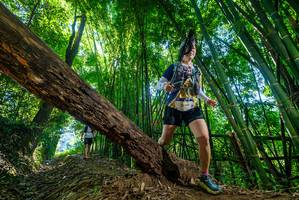 BIB: 6952
                            <button type="button" onclick="openModal(19060836)" class="btn btn-primary btn-sm float-right btn-popup" data-toggle="modal" data-target=".modal-high-quality">
                        <i class="fas fa-shopping-cart"></i> Add to Cart
                    </button>
                                            <button type="button" onclick="isThisMe(19060836, true)" class="btn btn-success btn-sm float-right btn-popup btn-isme hidden" data-toggle="tooltip" data-placement="bottom" title="นี่คือรูปของคุณใช่ไหม คลิกที่นี่เพื่อเอาเข้าอัลบั้ม">
                        <i class="fas fa-plus"></i> Add to album
                    </button>
                    <button type="button" onclick="isThisMe(19060836, false)" class="btn btn-warning btn-sm float-right btn-popup btn-isnotme hidden">
                        <i class="fas fa-ban"></i> Remove from album
                    </button>