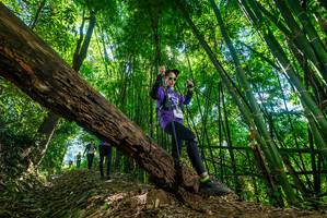 BIB: 
                            <button type="button" onclick="openModal(19069368)" class="btn btn-primary btn-sm float-right btn-popup" data-toggle="modal" data-target=".modal-high-quality">
                        <i class="fas fa-shopping-cart"></i> Add to Cart
                    </button>
                                            <button type="button" onclick="isThisMe(19069368, true)" class="btn btn-success btn-sm float-right btn-popup btn-isme hidden" data-toggle="tooltip" data-placement="bottom" title="นี่คือรูปของคุณใช่ไหม คลิกที่นี่เพื่อเอาเข้าอัลบั้ม">
                        <i class="fas fa-plus"></i> Add to album
                    </button>
                    <button type="button" onclick="isThisMe(19069368, false)" class="btn btn-warning btn-sm float-right btn-popup btn-isnotme hidden">
                        <i class="fas fa-ban"></i> Remove from album
                    </button>