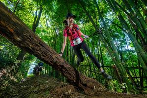 BIB: 
                            <button type="button" onclick="openModal(19065657)" class="btn btn-primary btn-sm float-right btn-popup" data-toggle="modal" data-target=".modal-high-quality">
                        <i class="fas fa-shopping-cart"></i> Add to Cart
                    </button>
                                            <button type="button" onclick="isThisMe(19065657, true)" class="btn btn-success btn-sm float-right btn-popup btn-isme hidden" data-toggle="tooltip" data-placement="bottom" title="นี่คือรูปของคุณใช่ไหม คลิกที่นี่เพื่อเอาเข้าอัลบั้ม">
                        <i class="fas fa-plus"></i> Add to album
                    </button>
                    <button type="button" onclick="isThisMe(19065657, false)" class="btn btn-warning btn-sm float-right btn-popup btn-isnotme hidden">
                        <i class="fas fa-ban"></i> Remove from album
                    </button>