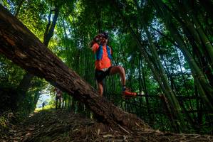 BIB: 
                            <button type="button" onclick="openModal(18988301)" class="btn btn-primary btn-sm float-right btn-popup" data-toggle="modal" data-target=".modal-high-quality">
                        <i class="fas fa-shopping-cart"></i> Add to Cart
                    </button>
                                            <button type="button" onclick="isThisMe(18988301, true)" class="btn btn-success btn-sm float-right btn-popup btn-isme hidden" data-toggle="tooltip" data-placement="bottom" title="นี่คือรูปของคุณใช่ไหม คลิกที่นี่เพื่อเอาเข้าอัลบั้ม">
                        <i class="fas fa-plus"></i> Add to album
                    </button>
                    <button type="button" onclick="isThisMe(18988301, false)" class="btn btn-warning btn-sm float-right btn-popup btn-isnotme hidden">
                        <i class="fas fa-ban"></i> Remove from album
                    </button>