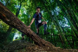 BIB: 
                            <button type="button" onclick="openModal(18992381)" class="btn btn-primary btn-sm float-right btn-popup" data-toggle="modal" data-target=".modal-high-quality">
                        <i class="fas fa-shopping-cart"></i> Add to Cart
                    </button>
                                            <button type="button" onclick="isThisMe(18992381, true)" class="btn btn-success btn-sm float-right btn-popup btn-isme hidden" data-toggle="tooltip" data-placement="bottom" title="นี่คือรูปของคุณใช่ไหม คลิกที่นี่เพื่อเอาเข้าอัลบั้ม">
                        <i class="fas fa-plus"></i> Add to album
                    </button>
                    <button type="button" onclick="isThisMe(18992381, false)" class="btn btn-warning btn-sm float-right btn-popup btn-isnotme hidden">
                        <i class="fas fa-ban"></i> Remove from album
                    </button>