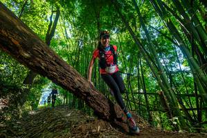 BIB: 571
                            <button type="button" onclick="openModal(19065396)" class="btn btn-primary btn-sm float-right btn-popup" data-toggle="modal" data-target=".modal-high-quality">
                        <i class="fas fa-shopping-cart"></i> Add to Cart
                    </button>
                                            <button type="button" onclick="isThisMe(19065396, true)" class="btn btn-success btn-sm float-right btn-popup btn-isme hidden" data-toggle="tooltip" data-placement="bottom" title="นี่คือรูปของคุณใช่ไหม คลิกที่นี่เพื่อเอาเข้าอัลบั้ม">
                        <i class="fas fa-plus"></i> Add to album
                    </button>
                    <button type="button" onclick="isThisMe(19065396, false)" class="btn btn-warning btn-sm float-right btn-popup btn-isnotme hidden">
                        <i class="fas fa-ban"></i> Remove from album
                    </button>