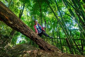 BIB: 
                            <button type="button" onclick="openModal(19069786)" class="btn btn-primary btn-sm float-right btn-popup" data-toggle="modal" data-target=".modal-high-quality">
                        <i class="fas fa-shopping-cart"></i> Add to Cart
                    </button>
                                            <button type="button" onclick="isThisMe(19069786, true)" class="btn btn-success btn-sm float-right btn-popup btn-isme hidden" data-toggle="tooltip" data-placement="bottom" title="นี่คือรูปของคุณใช่ไหม คลิกที่นี่เพื่อเอาเข้าอัลบั้ม">
                        <i class="fas fa-plus"></i> Add to album
                    </button>
                    <button type="button" onclick="isThisMe(19069786, false)" class="btn btn-warning btn-sm float-right btn-popup btn-isnotme hidden">
                        <i class="fas fa-ban"></i> Remove from album
                    </button>