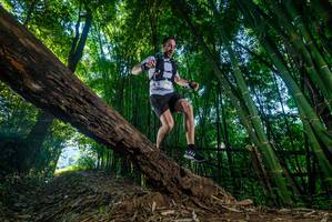 BIB: 
                            <button type="button" onclick="openModal(18993307)" class="btn btn-primary btn-sm float-right btn-popup" data-toggle="modal" data-target=".modal-high-quality">
                        <i class="fas fa-shopping-cart"></i> Add to Cart
                    </button>
                                            <button type="button" onclick="isThisMe(18993307, true)" class="btn btn-success btn-sm float-right btn-popup btn-isme hidden" data-toggle="tooltip" data-placement="bottom" title="นี่คือรูปของคุณใช่ไหม คลิกที่นี่เพื่อเอาเข้าอัลบั้ม">
                        <i class="fas fa-plus"></i> Add to album
                    </button>
                    <button type="button" onclick="isThisMe(18993307, false)" class="btn btn-warning btn-sm float-right btn-popup btn-isnotme hidden">
                        <i class="fas fa-ban"></i> Remove from album
                    </button>