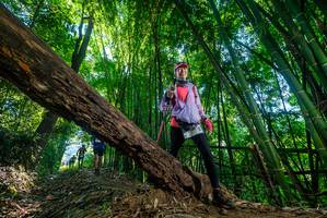 BIB: 
                            <button type="button" onclick="openModal(19001264)" class="btn btn-primary btn-sm float-right btn-popup" data-toggle="modal" data-target=".modal-high-quality">
                        <i class="fas fa-shopping-cart"></i> Add to Cart
                    </button>
                                            <button type="button" onclick="isThisMe(19001264, true)" class="btn btn-success btn-sm float-right btn-popup btn-isme hidden" data-toggle="tooltip" data-placement="bottom" title="นี่คือรูปของคุณใช่ไหม คลิกที่นี่เพื่อเอาเข้าอัลบั้ม">
                        <i class="fas fa-plus"></i> Add to album
                    </button>
                    <button type="button" onclick="isThisMe(19001264, false)" class="btn btn-warning btn-sm float-right btn-popup btn-isnotme hidden">
                        <i class="fas fa-ban"></i> Remove from album
                    </button>