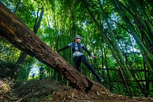 BIB: 
                            <button type="button" onclick="openModal(18999041)" class="btn btn-primary btn-sm float-right btn-popup" data-toggle="modal" data-target=".modal-high-quality">
                        <i class="fas fa-shopping-cart"></i> Add to Cart
                    </button>
                                            <button type="button" onclick="isThisMe(18999041, true)" class="btn btn-success btn-sm float-right btn-popup btn-isme hidden" data-toggle="tooltip" data-placement="bottom" title="นี่คือรูปของคุณใช่ไหม คลิกที่นี่เพื่อเอาเข้าอัลบั้ม">
                        <i class="fas fa-plus"></i> Add to album
                    </button>
                    <button type="button" onclick="isThisMe(18999041, false)" class="btn btn-warning btn-sm float-right btn-popup btn-isnotme hidden">
                        <i class="fas fa-ban"></i> Remove from album
                    </button>