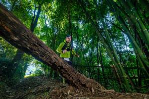 BIB: 
                            <button type="button" onclick="openModal(18998498)" class="btn btn-primary btn-sm float-right btn-popup" data-toggle="modal" data-target=".modal-high-quality">
                        <i class="fas fa-shopping-cart"></i> Add to Cart
                    </button>
                                            <button type="button" onclick="isThisMe(18998498, true)" class="btn btn-success btn-sm float-right btn-popup btn-isme hidden" data-toggle="tooltip" data-placement="bottom" title="นี่คือรูปของคุณใช่ไหม คลิกที่นี่เพื่อเอาเข้าอัลบั้ม">
                        <i class="fas fa-plus"></i> Add to album
                    </button>
                    <button type="button" onclick="isThisMe(18998498, false)" class="btn btn-warning btn-sm float-right btn-popup btn-isnotme hidden">
                        <i class="fas fa-ban"></i> Remove from album
                    </button>