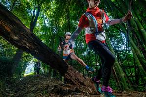 BIB: 
                            <button type="button" onclick="openModal(18996550)" class="btn btn-primary btn-sm float-right btn-popup" data-toggle="modal" data-target=".modal-high-quality">
                        <i class="fas fa-shopping-cart"></i> Add to Cart
                    </button>
                                            <button type="button" onclick="isThisMe(18996550, true)" class="btn btn-success btn-sm float-right btn-popup btn-isme hidden" data-toggle="tooltip" data-placement="bottom" title="นี่คือรูปของคุณใช่ไหม คลิกที่นี่เพื่อเอาเข้าอัลบั้ม">
                        <i class="fas fa-plus"></i> Add to album
                    </button>
                    <button type="button" onclick="isThisMe(18996550, false)" class="btn btn-warning btn-sm float-right btn-popup btn-isnotme hidden">
                        <i class="fas fa-ban"></i> Remove from album
                    </button>