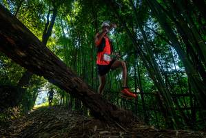 BIB: 133
                            <button type="button" onclick="openModal(18989657)" class="btn btn-primary btn-sm float-right btn-popup" data-toggle="modal" data-target=".modal-high-quality">
                        <i class="fas fa-shopping-cart"></i> Add to Cart
                    </button>
                                            <button type="button" onclick="isThisMe(18989657, true)" class="btn btn-success btn-sm float-right btn-popup btn-isme hidden" data-toggle="tooltip" data-placement="bottom" title="นี่คือรูปของคุณใช่ไหม คลิกที่นี่เพื่อเอาเข้าอัลบั้ม">
                        <i class="fas fa-plus"></i> Add to album
                    </button>
                    <button type="button" onclick="isThisMe(18989657, false)" class="btn btn-warning btn-sm float-right btn-popup btn-isnotme hidden">
                        <i class="fas fa-ban"></i> Remove from album
                    </button>