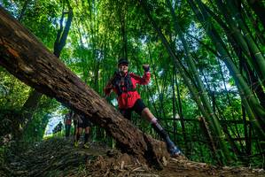 BIB: 
                            <button type="button" onclick="openModal(18993423)" class="btn btn-primary btn-sm float-right btn-popup" data-toggle="modal" data-target=".modal-high-quality">
                        <i class="fas fa-shopping-cart"></i> Add to Cart
                    </button>
                                            <button type="button" onclick="isThisMe(18993423, true)" class="btn btn-success btn-sm float-right btn-popup btn-isme hidden" data-toggle="tooltip" data-placement="bottom" title="นี่คือรูปของคุณใช่ไหม คลิกที่นี่เพื่อเอาเข้าอัลบั้ม">
                        <i class="fas fa-plus"></i> Add to album
                    </button>
                    <button type="button" onclick="isThisMe(18993423, false)" class="btn btn-warning btn-sm float-right btn-popup btn-isnotme hidden">
                        <i class="fas fa-ban"></i> Remove from album
                    </button>