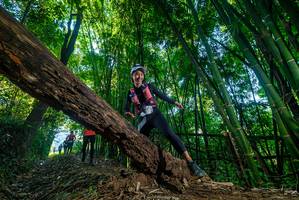 BIB: 
                            <button type="button" onclick="openModal(18998407)" class="btn btn-primary btn-sm float-right btn-popup" data-toggle="modal" data-target=".modal-high-quality">
                        <i class="fas fa-shopping-cart"></i> Add to Cart
                    </button>
                                            <button type="button" onclick="isThisMe(18998407, true)" class="btn btn-success btn-sm float-right btn-popup btn-isme hidden" data-toggle="tooltip" data-placement="bottom" title="นี่คือรูปของคุณใช่ไหม คลิกที่นี่เพื่อเอาเข้าอัลบั้ม">
                        <i class="fas fa-plus"></i> Add to album
                    </button>
                    <button type="button" onclick="isThisMe(18998407, false)" class="btn btn-warning btn-sm float-right btn-popup btn-isnotme hidden">
                        <i class="fas fa-ban"></i> Remove from album
                    </button>