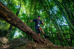 BIB: 
                            <button type="button" onclick="openModal(19001724)" class="btn btn-primary btn-sm float-right btn-popup" data-toggle="modal" data-target=".modal-high-quality">
                        <i class="fas fa-shopping-cart"></i> Add to Cart
                    </button>
                                            <button type="button" onclick="isThisMe(19001724, true)" class="btn btn-success btn-sm float-right btn-popup btn-isme hidden" data-toggle="tooltip" data-placement="bottom" title="นี่คือรูปของคุณใช่ไหม คลิกที่นี่เพื่อเอาเข้าอัลบั้ม">
                        <i class="fas fa-plus"></i> Add to album
                    </button>
                    <button type="button" onclick="isThisMe(19001724, false)" class="btn btn-warning btn-sm float-right btn-popup btn-isnotme hidden">
                        <i class="fas fa-ban"></i> Remove from album
                    </button>