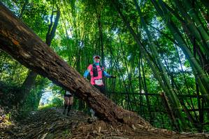 BIB: 
                            <button type="button" onclick="openModal(18998126)" class="btn btn-primary btn-sm float-right btn-popup" data-toggle="modal" data-target=".modal-high-quality">
                        <i class="fas fa-shopping-cart"></i> Add to Cart
                    </button>
                                            <button type="button" onclick="isThisMe(18998126, true)" class="btn btn-success btn-sm float-right btn-popup btn-isme hidden" data-toggle="tooltip" data-placement="bottom" title="นี่คือรูปของคุณใช่ไหม คลิกที่นี่เพื่อเอาเข้าอัลบั้ม">
                        <i class="fas fa-plus"></i> Add to album
                    </button>
                    <button type="button" onclick="isThisMe(18998126, false)" class="btn btn-warning btn-sm float-right btn-popup btn-isnotme hidden">
                        <i class="fas fa-ban"></i> Remove from album
                    </button>