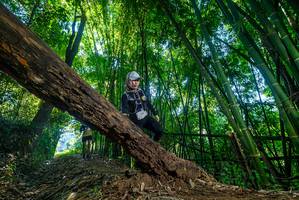 BIB: 
                            <button type="button" onclick="openModal(18996806)" class="btn btn-primary btn-sm float-right btn-popup" data-toggle="modal" data-target=".modal-high-quality">
                        <i class="fas fa-shopping-cart"></i> Add to Cart
                    </button>
                                            <button type="button" onclick="isThisMe(18996806, true)" class="btn btn-success btn-sm float-right btn-popup btn-isme hidden" data-toggle="tooltip" data-placement="bottom" title="นี่คือรูปของคุณใช่ไหม คลิกที่นี่เพื่อเอาเข้าอัลบั้ม">
                        <i class="fas fa-plus"></i> Add to album
                    </button>
                    <button type="button" onclick="isThisMe(18996806, false)" class="btn btn-warning btn-sm float-right btn-popup btn-isnotme hidden">
                        <i class="fas fa-ban"></i> Remove from album
                    </button>