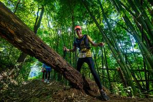 BIB: 
                            <button type="button" onclick="openModal(19065991)" class="btn btn-primary btn-sm float-right btn-popup" data-toggle="modal" data-target=".modal-high-quality">
                        <i class="fas fa-shopping-cart"></i> Add to Cart
                    </button>
                                            <button type="button" onclick="isThisMe(19065991, true)" class="btn btn-success btn-sm float-right btn-popup btn-isme hidden" data-toggle="tooltip" data-placement="bottom" title="นี่คือรูปของคุณใช่ไหม คลิกที่นี่เพื่อเอาเข้าอัลบั้ม">
                        <i class="fas fa-plus"></i> Add to album
                    </button>
                    <button type="button" onclick="isThisMe(19065991, false)" class="btn btn-warning btn-sm float-right btn-popup btn-isnotme hidden">
                        <i class="fas fa-ban"></i> Remove from album
                    </button>