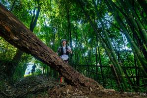 BIB: 
                            <button type="button" onclick="openModal(18997774)" class="btn btn-primary btn-sm float-right btn-popup" data-toggle="modal" data-target=".modal-high-quality">
                        <i class="fas fa-shopping-cart"></i> Add to Cart
                    </button>
                                            <button type="button" onclick="isThisMe(18997774, true)" class="btn btn-success btn-sm float-right btn-popup btn-isme hidden" data-toggle="tooltip" data-placement="bottom" title="นี่คือรูปของคุณใช่ไหม คลิกที่นี่เพื่อเอาเข้าอัลบั้ม">
                        <i class="fas fa-plus"></i> Add to album
                    </button>
                    <button type="button" onclick="isThisMe(18997774, false)" class="btn btn-warning btn-sm float-right btn-popup btn-isnotme hidden">
                        <i class="fas fa-ban"></i> Remove from album
                    </button>