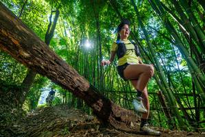 BIB: 201
                            <button type="button" onclick="openModal(19057659)" class="btn btn-primary btn-sm float-right btn-popup" data-toggle="modal" data-target=".modal-high-quality">
                        <i class="fas fa-shopping-cart"></i> Add to Cart
                    </button>
                                            <button type="button" onclick="isThisMe(19057659, true)" class="btn btn-success btn-sm float-right btn-popup btn-isme hidden" data-toggle="tooltip" data-placement="bottom" title="นี่คือรูปของคุณใช่ไหม คลิกที่นี่เพื่อเอาเข้าอัลบั้ม">
                        <i class="fas fa-plus"></i> Add to album
                    </button>
                    <button type="button" onclick="isThisMe(19057659, false)" class="btn btn-warning btn-sm float-right btn-popup btn-isnotme hidden">
                        <i class="fas fa-ban"></i> Remove from album
                    </button>