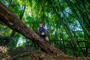 BIB: 
                            <button type="button" onclick="openModal(19000447)" class="btn btn-primary btn-sm float-right btn-popup" data-toggle="modal" data-target=".modal-high-quality">
                        <i class="fas fa-shopping-cart"></i> Add to Cart
                    </button>
                                            <button type="button" onclick="isThisMe(19000447, true)" class="btn btn-success btn-sm float-right btn-popup btn-isme hidden" data-toggle="tooltip" data-placement="bottom" title="นี่คือรูปของคุณใช่ไหม คลิกที่นี่เพื่อเอาเข้าอัลบั้ม">
                        <i class="fas fa-plus"></i> Add to album
                    </button>
                    <button type="button" onclick="isThisMe(19000447, false)" class="btn btn-warning btn-sm float-right btn-popup btn-isnotme hidden">
                        <i class="fas fa-ban"></i> Remove from album
                    </button>