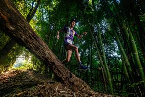 BIB: 
                            <button type="button" onclick="openModal(18986195)" class="btn btn-primary btn-sm float-right btn-popup" data-toggle="modal" data-target=".modal-high-quality">
                        <i class="fas fa-shopping-cart"></i> Add to Cart
                    </button>
                                            <button type="button" onclick="isThisMe(18986195, true)" class="btn btn-success btn-sm float-right btn-popup btn-isme hidden" data-toggle="tooltip" data-placement="bottom" title="นี่คือรูปของคุณใช่ไหม คลิกที่นี่เพื่อเอาเข้าอัลบั้ม">
                        <i class="fas fa-plus"></i> Add to album
                    </button>
                    <button type="button" onclick="isThisMe(18986195, false)" class="btn btn-warning btn-sm float-right btn-popup btn-isnotme hidden">
                        <i class="fas fa-ban"></i> Remove from album
                    </button>