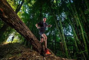 BIB: 
                            <button type="button" onclick="openModal(18986714)" class="btn btn-primary btn-sm float-right btn-popup" data-toggle="modal" data-target=".modal-high-quality">
                        <i class="fas fa-shopping-cart"></i> Add to Cart
                    </button>
                                            <button type="button" onclick="isThisMe(18986714, true)" class="btn btn-success btn-sm float-right btn-popup btn-isme hidden" data-toggle="tooltip" data-placement="bottom" title="นี่คือรูปของคุณใช่ไหม คลิกที่นี่เพื่อเอาเข้าอัลบั้ม">
                        <i class="fas fa-plus"></i> Add to album
                    </button>
                    <button type="button" onclick="isThisMe(18986714, false)" class="btn btn-warning btn-sm float-right btn-popup btn-isnotme hidden">
                        <i class="fas fa-ban"></i> Remove from album
                    </button>