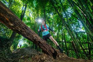 BIB: 
                            <button type="button" onclick="openModal(19056680)" class="btn btn-primary btn-sm float-right btn-popup" data-toggle="modal" data-target=".modal-high-quality">
                        <i class="fas fa-shopping-cart"></i> Add to Cart
                    </button>
                                            <button type="button" onclick="isThisMe(19056680, true)" class="btn btn-success btn-sm float-right btn-popup btn-isme hidden" data-toggle="tooltip" data-placement="bottom" title="นี่คือรูปของคุณใช่ไหม คลิกที่นี่เพื่อเอาเข้าอัลบั้ม">
                        <i class="fas fa-plus"></i> Add to album
                    </button>
                    <button type="button" onclick="isThisMe(19056680, false)" class="btn btn-warning btn-sm float-right btn-popup btn-isnotme hidden">
                        <i class="fas fa-ban"></i> Remove from album
                    </button>