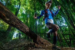 BIB: 2009
                            <button type="button" onclick="openModal(19000147)" class="btn btn-primary btn-sm float-right btn-popup" data-toggle="modal" data-target=".modal-high-quality">
                        <i class="fas fa-shopping-cart"></i> Add to Cart
                    </button>
                                            <button type="button" onclick="isThisMe(19000147, true)" class="btn btn-success btn-sm float-right btn-popup btn-isme hidden" data-toggle="tooltip" data-placement="bottom" title="นี่คือรูปของคุณใช่ไหม คลิกที่นี่เพื่อเอาเข้าอัลบั้ม">
                        <i class="fas fa-plus"></i> Add to album
                    </button>
                    <button type="button" onclick="isThisMe(19000147, false)" class="btn btn-warning btn-sm float-right btn-popup btn-isnotme hidden">
                        <i class="fas fa-ban"></i> Remove from album
                    </button>