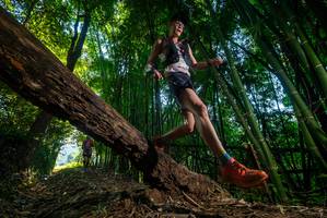 BIB: 
                            <button type="button" onclick="openModal(18989833)" class="btn btn-primary btn-sm float-right btn-popup" data-toggle="modal" data-target=".modal-high-quality">
                        <i class="fas fa-shopping-cart"></i> Add to Cart
                    </button>
                                            <button type="button" onclick="isThisMe(18989833, true)" class="btn btn-success btn-sm float-right btn-popup btn-isme hidden" data-toggle="tooltip" data-placement="bottom" title="นี่คือรูปของคุณใช่ไหม คลิกที่นี่เพื่อเอาเข้าอัลบั้ม">
                        <i class="fas fa-plus"></i> Add to album
                    </button>
                    <button type="button" onclick="isThisMe(18989833, false)" class="btn btn-warning btn-sm float-right btn-popup btn-isnotme hidden">
                        <i class="fas fa-ban"></i> Remove from album
                    </button>