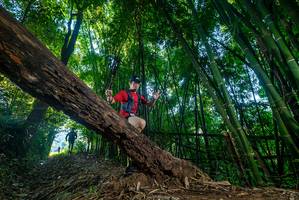 BIB: 
                            <button type="button" onclick="openModal(18988008)" class="btn btn-primary btn-sm float-right btn-popup" data-toggle="modal" data-target=".modal-high-quality">
                        <i class="fas fa-shopping-cart"></i> Add to Cart
                    </button>
                                            <button type="button" onclick="isThisMe(18988008, true)" class="btn btn-success btn-sm float-right btn-popup btn-isme hidden" data-toggle="tooltip" data-placement="bottom" title="นี่คือรูปของคุณใช่ไหม คลิกที่นี่เพื่อเอาเข้าอัลบั้ม">
                        <i class="fas fa-plus"></i> Add to album
                    </button>
                    <button type="button" onclick="isThisMe(18988008, false)" class="btn btn-warning btn-sm float-right btn-popup btn-isnotme hidden">
                        <i class="fas fa-ban"></i> Remove from album
                    </button>