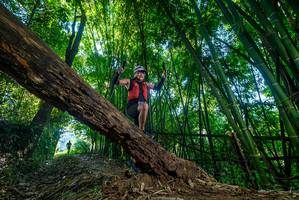 BIB: 
                            <button type="button" onclick="openModal(18995210)" class="btn btn-primary btn-sm float-right btn-popup" data-toggle="modal" data-target=".modal-high-quality">
                        <i class="fas fa-shopping-cart"></i> Add to Cart
                    </button>
                                            <button type="button" onclick="isThisMe(18995210, true)" class="btn btn-success btn-sm float-right btn-popup btn-isme hidden" data-toggle="tooltip" data-placement="bottom" title="นี่คือรูปของคุณใช่ไหม คลิกที่นี่เพื่อเอาเข้าอัลบั้ม">
                        <i class="fas fa-plus"></i> Add to album
                    </button>
                    <button type="button" onclick="isThisMe(18995210, false)" class="btn btn-warning btn-sm float-right btn-popup btn-isnotme hidden">
                        <i class="fas fa-ban"></i> Remove from album
                    </button>