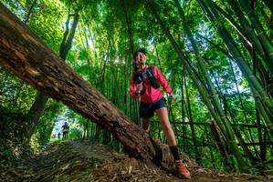 BIB: 
                            <button type="button" onclick="openModal(19056129)" class="btn btn-primary btn-sm float-right btn-popup" data-toggle="modal" data-target=".modal-high-quality">
                        <i class="fas fa-shopping-cart"></i> Add to Cart
                    </button>
                                            <button type="button" onclick="isThisMe(19056129, true)" class="btn btn-success btn-sm float-right btn-popup btn-isme hidden" data-toggle="tooltip" data-placement="bottom" title="นี่คือรูปของคุณใช่ไหม คลิกที่นี่เพื่อเอาเข้าอัลบั้ม">
                        <i class="fas fa-plus"></i> Add to album
                    </button>
                    <button type="button" onclick="isThisMe(19056129, false)" class="btn btn-warning btn-sm float-right btn-popup btn-isnotme hidden">
                        <i class="fas fa-ban"></i> Remove from album
                    </button>