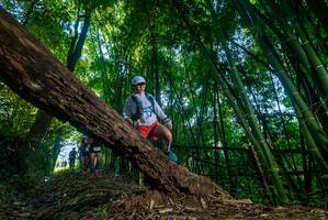 BIB: 
                            <button type="button" onclick="openModal(18997650)" class="btn btn-primary btn-sm float-right btn-popup" data-toggle="modal" data-target=".modal-high-quality">
                        <i class="fas fa-shopping-cart"></i> Add to Cart
                    </button>
                                            <button type="button" onclick="isThisMe(18997650, true)" class="btn btn-success btn-sm float-right btn-popup btn-isme hidden" data-toggle="tooltip" data-placement="bottom" title="นี่คือรูปของคุณใช่ไหม คลิกที่นี่เพื่อเอาเข้าอัลบั้ม">
                        <i class="fas fa-plus"></i> Add to album
                    </button>
                    <button type="button" onclick="isThisMe(18997650, false)" class="btn btn-warning btn-sm float-right btn-popup btn-isnotme hidden">
                        <i class="fas fa-ban"></i> Remove from album
                    </button>