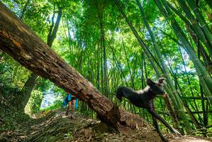 BIB: 
                            <button type="button" onclick="openModal(19071794)" class="btn btn-primary btn-sm float-right btn-popup" data-toggle="modal" data-target=".modal-high-quality">
                        <i class="fas fa-shopping-cart"></i> Add to Cart
                    </button>
                                            <button type="button" onclick="isThisMe(19071794, true)" class="btn btn-success btn-sm float-right btn-popup btn-isme hidden" data-toggle="tooltip" data-placement="bottom" title="นี่คือรูปของคุณใช่ไหม คลิกที่นี่เพื่อเอาเข้าอัลบั้ม">
                        <i class="fas fa-plus"></i> Add to album
                    </button>
                    <button type="button" onclick="isThisMe(19071794, false)" class="btn btn-warning btn-sm float-right btn-popup btn-isnotme hidden">
                        <i class="fas fa-ban"></i> Remove from album
                    </button>