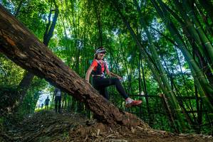 BIB: 
                            <button type="button" onclick="openModal(18994732)" class="btn btn-primary btn-sm float-right btn-popup" data-toggle="modal" data-target=".modal-high-quality">
                        <i class="fas fa-shopping-cart"></i> Add to Cart
                    </button>
                                            <button type="button" onclick="isThisMe(18994732, true)" class="btn btn-success btn-sm float-right btn-popup btn-isme hidden" data-toggle="tooltip" data-placement="bottom" title="นี่คือรูปของคุณใช่ไหม คลิกที่นี่เพื่อเอาเข้าอัลบั้ม">
                        <i class="fas fa-plus"></i> Add to album
                    </button>
                    <button type="button" onclick="isThisMe(18994732, false)" class="btn btn-warning btn-sm float-right btn-popup btn-isnotme hidden">
                        <i class="fas fa-ban"></i> Remove from album
                    </button>