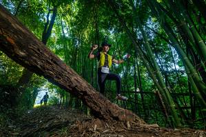 BIB: 
                            <button type="button" onclick="openModal(18998656)" class="btn btn-primary btn-sm float-right btn-popup" data-toggle="modal" data-target=".modal-high-quality">
                        <i class="fas fa-shopping-cart"></i> Add to Cart
                    </button>
                                            <button type="button" onclick="isThisMe(18998656, true)" class="btn btn-success btn-sm float-right btn-popup btn-isme hidden" data-toggle="tooltip" data-placement="bottom" title="นี่คือรูปของคุณใช่ไหม คลิกที่นี่เพื่อเอาเข้าอัลบั้ม">
                        <i class="fas fa-plus"></i> Add to album
                    </button>
                    <button type="button" onclick="isThisMe(18998656, false)" class="btn btn-warning btn-sm float-right btn-popup btn-isnotme hidden">
                        <i class="fas fa-ban"></i> Remove from album
                    </button>