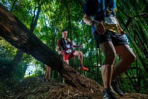 BIB: 2114
                            <button type="button" onclick="openModal(18990977)" class="btn btn-primary btn-sm float-right btn-popup" data-toggle="modal" data-target=".modal-high-quality">
                        <i class="fas fa-shopping-cart"></i> Add to Cart
                    </button>
                                            <button type="button" onclick="isThisMe(18990977, true)" class="btn btn-success btn-sm float-right btn-popup btn-isme hidden" data-toggle="tooltip" data-placement="bottom" title="นี่คือรูปของคุณใช่ไหม คลิกที่นี่เพื่อเอาเข้าอัลบั้ม">
                        <i class="fas fa-plus"></i> Add to album
                    </button>
                    <button type="button" onclick="isThisMe(18990977, false)" class="btn btn-warning btn-sm float-right btn-popup btn-isnotme hidden">
                        <i class="fas fa-ban"></i> Remove from album
                    </button>