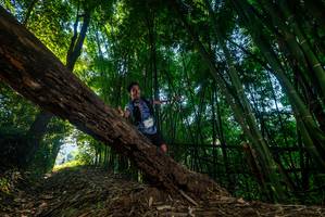 BIB: 
                            <button type="button" onclick="openModal(18988393)" class="btn btn-primary btn-sm float-right btn-popup" data-toggle="modal" data-target=".modal-high-quality">
                        <i class="fas fa-shopping-cart"></i> Add to Cart
                    </button>
                                            <button type="button" onclick="isThisMe(18988393, true)" class="btn btn-success btn-sm float-right btn-popup btn-isme hidden" data-toggle="tooltip" data-placement="bottom" title="นี่คือรูปของคุณใช่ไหม คลิกที่นี่เพื่อเอาเข้าอัลบั้ม">
                        <i class="fas fa-plus"></i> Add to album
                    </button>
                    <button type="button" onclick="isThisMe(18988393, false)" class="btn btn-warning btn-sm float-right btn-popup btn-isnotme hidden">
                        <i class="fas fa-ban"></i> Remove from album
                    </button>