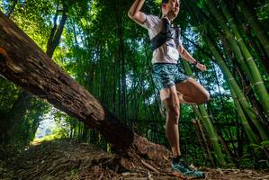 BIB: 
                            <button type="button" onclick="openModal(18987216)" class="btn btn-primary btn-sm float-right btn-popup" data-toggle="modal" data-target=".modal-high-quality">
                        <i class="fas fa-shopping-cart"></i> Add to Cart
                    </button>
                                            <button type="button" onclick="isThisMe(18987216, true)" class="btn btn-success btn-sm float-right btn-popup btn-isme hidden" data-toggle="tooltip" data-placement="bottom" title="นี่คือรูปของคุณใช่ไหม คลิกที่นี่เพื่อเอาเข้าอัลบั้ม">
                        <i class="fas fa-plus"></i> Add to album
                    </button>
                    <button type="button" onclick="isThisMe(18987216, false)" class="btn btn-warning btn-sm float-right btn-popup btn-isnotme hidden">
                        <i class="fas fa-ban"></i> Remove from album
                    </button>