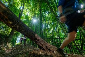 BIB: 
                            <button type="button" onclick="openModal(19054867)" class="btn btn-primary btn-sm float-right btn-popup" data-toggle="modal" data-target=".modal-high-quality">
                        <i class="fas fa-shopping-cart"></i> Add to Cart
                    </button>
                                            <button type="button" onclick="isThisMe(19054867, true)" class="btn btn-success btn-sm float-right btn-popup btn-isme hidden" data-toggle="tooltip" data-placement="bottom" title="นี่คือรูปของคุณใช่ไหม คลิกที่นี่เพื่อเอาเข้าอัลบั้ม">
                        <i class="fas fa-plus"></i> Add to album
                    </button>
                    <button type="button" onclick="isThisMe(19054867, false)" class="btn btn-warning btn-sm float-right btn-popup btn-isnotme hidden">
                        <i class="fas fa-ban"></i> Remove from album
                    </button>