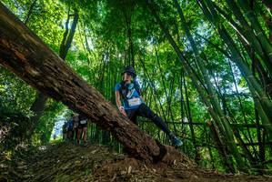 BIB: 2804
                            <button type="button" onclick="openModal(19064659)" class="btn btn-primary btn-sm float-right btn-popup" data-toggle="modal" data-target=".modal-high-quality">
                        <i class="fas fa-shopping-cart"></i> Add to Cart
                    </button>
                                            <button type="button" onclick="isThisMe(19064659, true)" class="btn btn-success btn-sm float-right btn-popup btn-isme hidden" data-toggle="tooltip" data-placement="bottom" title="นี่คือรูปของคุณใช่ไหม คลิกที่นี่เพื่อเอาเข้าอัลบั้ม">
                        <i class="fas fa-plus"></i> Add to album
                    </button>
                    <button type="button" onclick="isThisMe(19064659, false)" class="btn btn-warning btn-sm float-right btn-popup btn-isnotme hidden">
                        <i class="fas fa-ban"></i> Remove from album
                    </button>