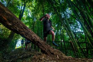 BIB: 
                            <button type="button" onclick="openModal(18990494)" class="btn btn-primary btn-sm float-right btn-popup" data-toggle="modal" data-target=".modal-high-quality">
                        <i class="fas fa-shopping-cart"></i> Add to Cart
                    </button>
                                            <button type="button" onclick="isThisMe(18990494, true)" class="btn btn-success btn-sm float-right btn-popup btn-isme hidden" data-toggle="tooltip" data-placement="bottom" title="นี่คือรูปของคุณใช่ไหม คลิกที่นี่เพื่อเอาเข้าอัลบั้ม">
                        <i class="fas fa-plus"></i> Add to album
                    </button>
                    <button type="button" onclick="isThisMe(18990494, false)" class="btn btn-warning btn-sm float-right btn-popup btn-isnotme hidden">
                        <i class="fas fa-ban"></i> Remove from album
                    </button>