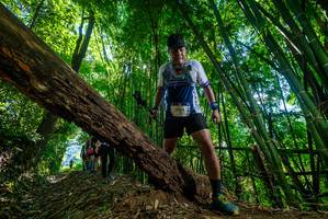 BIB: 3794
                            <button type="button" onclick="openModal(19064774)" class="btn btn-primary btn-sm float-right btn-popup" data-toggle="modal" data-target=".modal-high-quality">
                        <i class="fas fa-shopping-cart"></i> Add to Cart
                    </button>
                                            <button type="button" onclick="isThisMe(19064774, true)" class="btn btn-success btn-sm float-right btn-popup btn-isme hidden" data-toggle="tooltip" data-placement="bottom" title="นี่คือรูปของคุณใช่ไหม คลิกที่นี่เพื่อเอาเข้าอัลบั้ม">
                        <i class="fas fa-plus"></i> Add to album
                    </button>
                    <button type="button" onclick="isThisMe(19064774, false)" class="btn btn-warning btn-sm float-right btn-popup btn-isnotme hidden">
                        <i class="fas fa-ban"></i> Remove from album
                    </button>